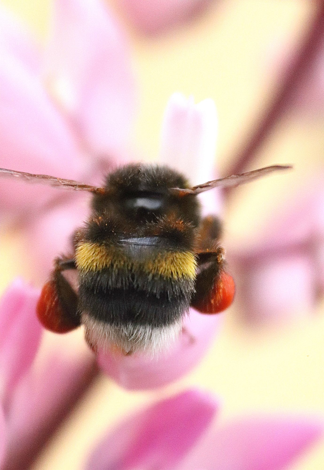 Valokuvaaja: Irja Lehtinen