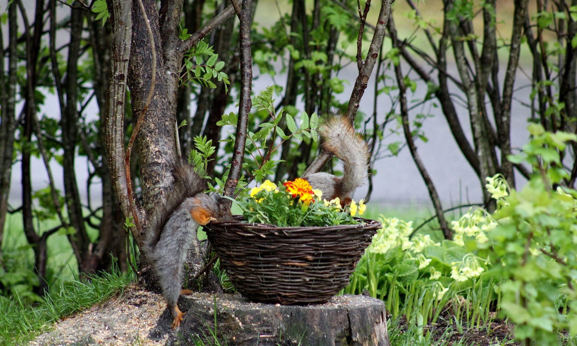 Valokuvaaja: Pirkko Siukonen