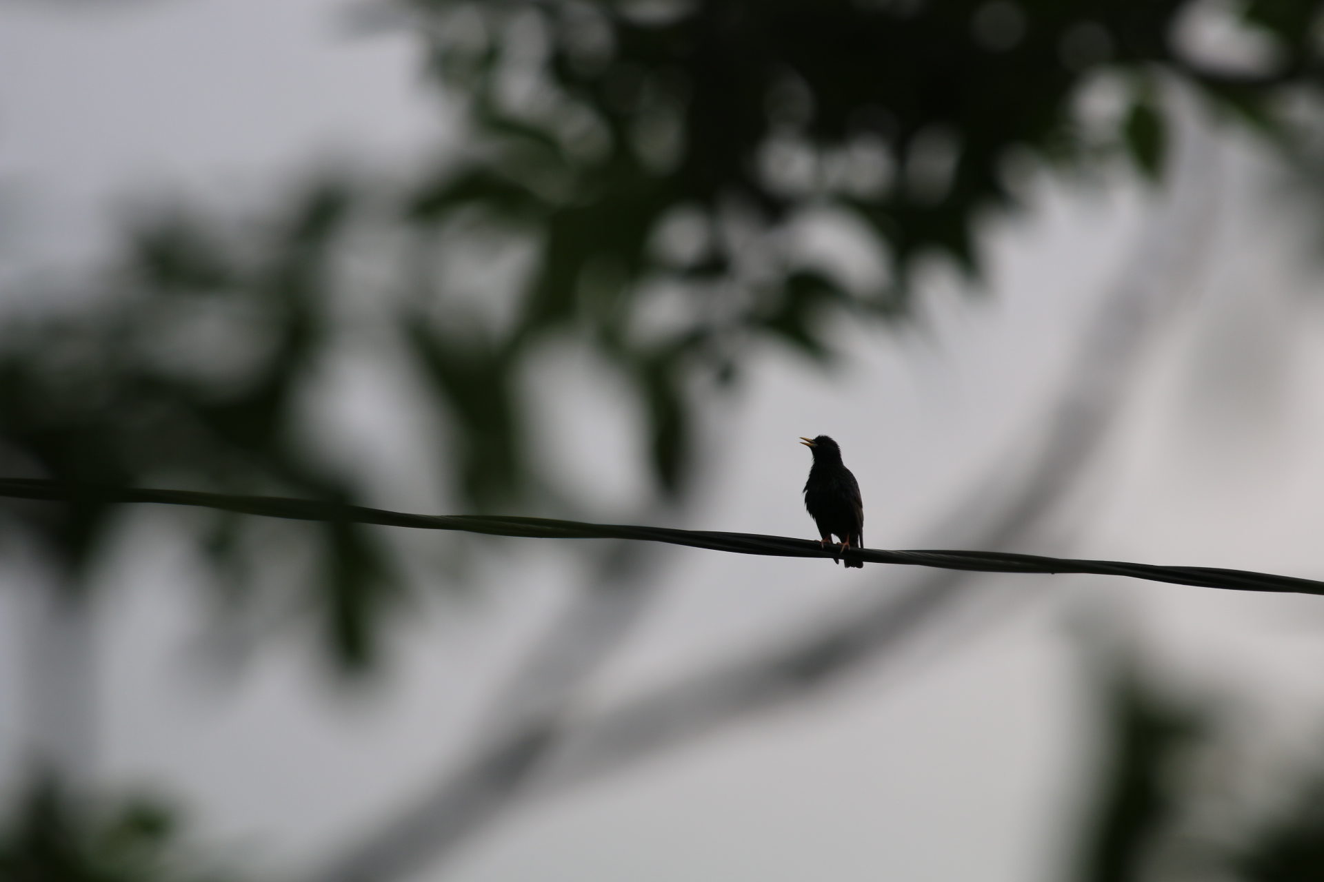 Valokuvaaja: Teija Järvenpää