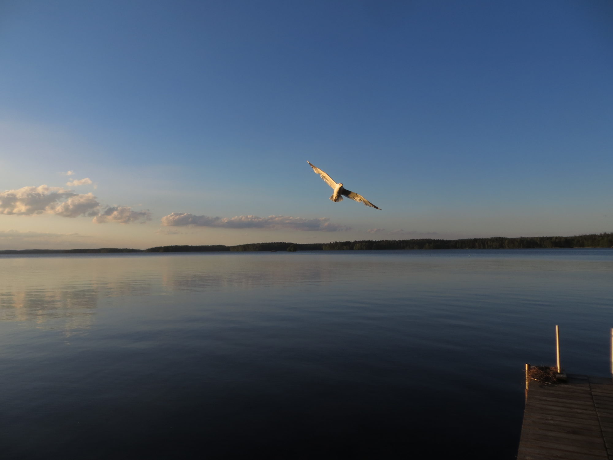 Valokuvaaja: Ismo Konkari