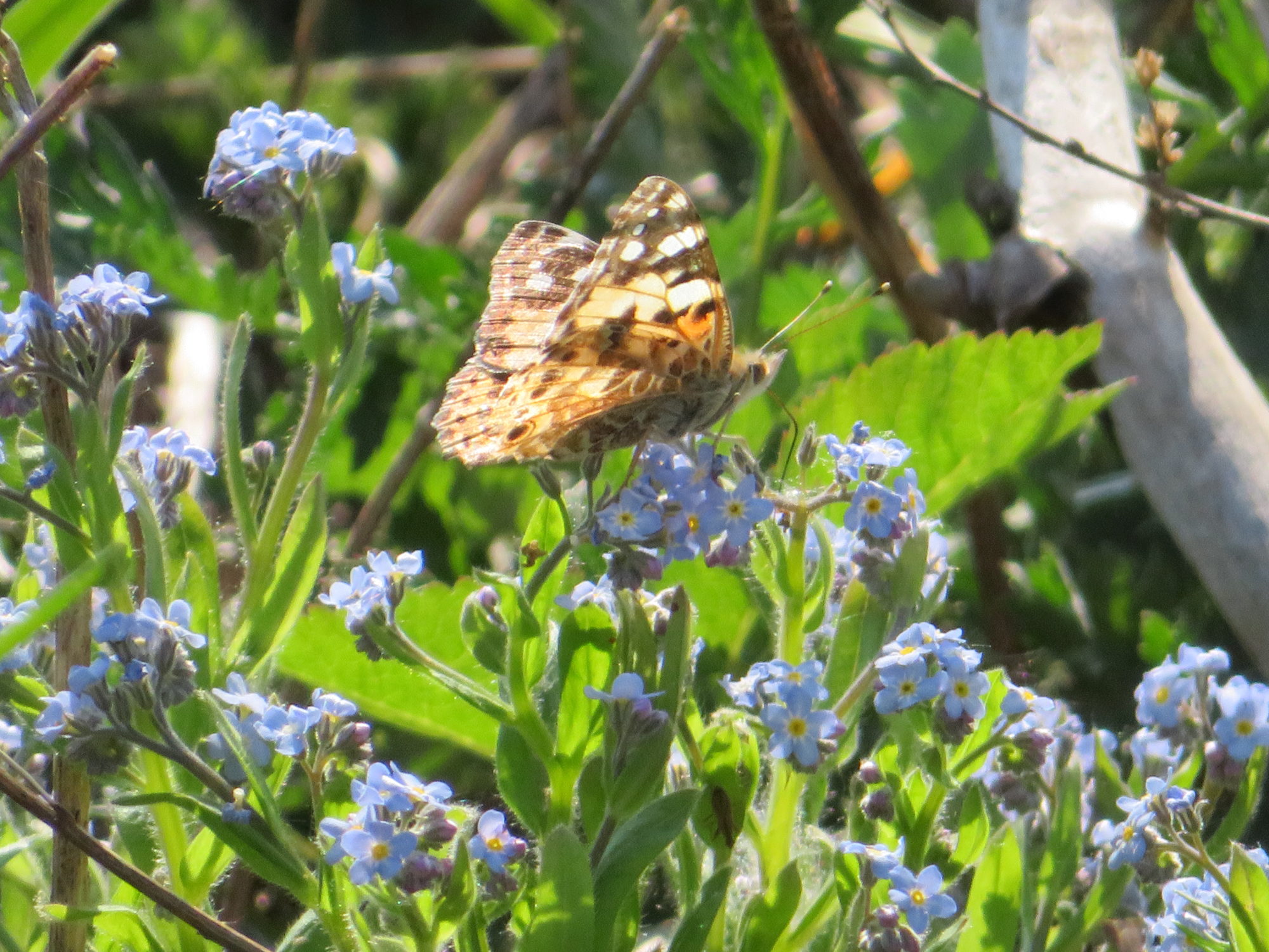 Valokuvaaja: Risto Kangassalo