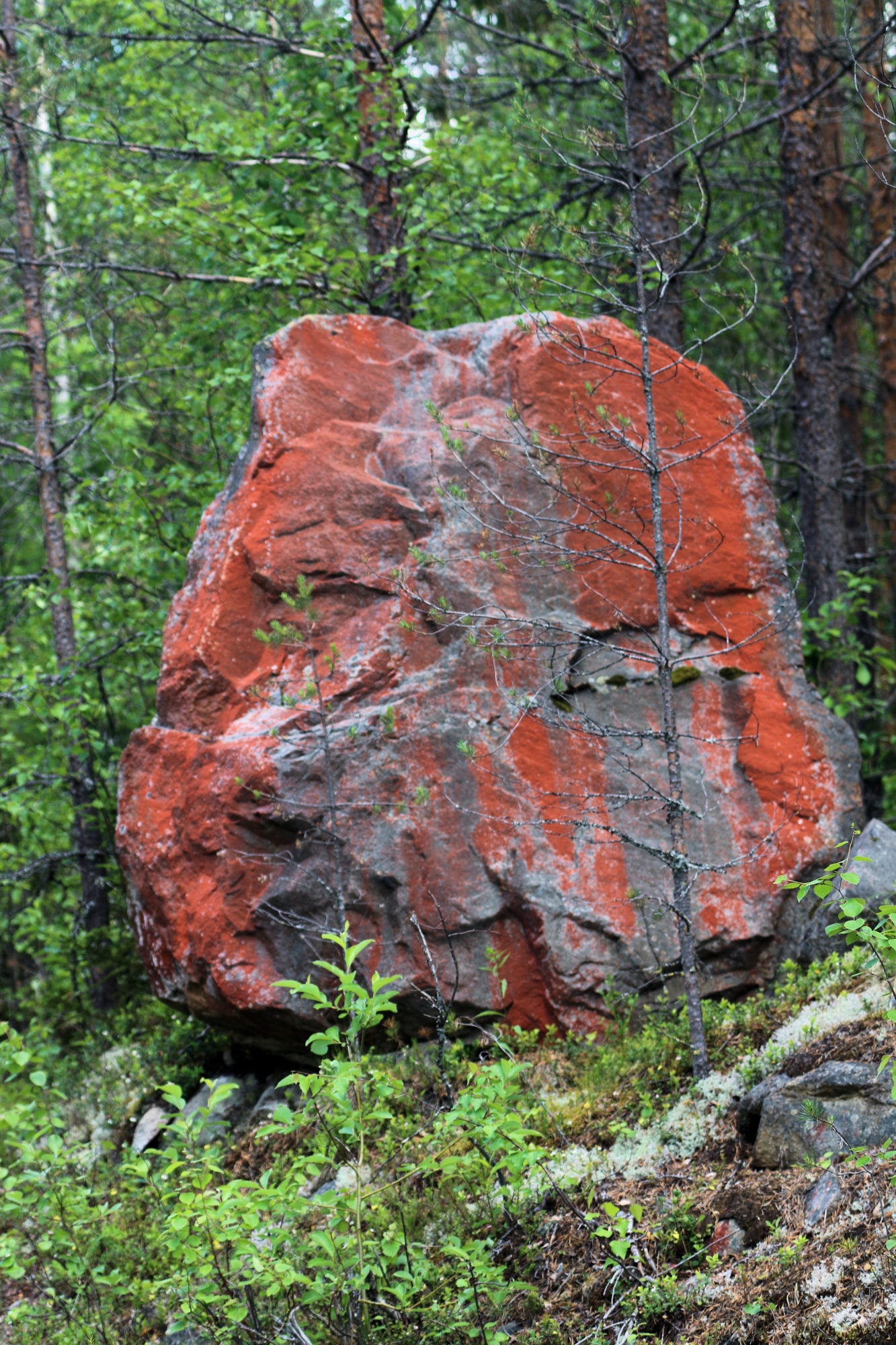 Valokuvaaja: Ahti Keränen