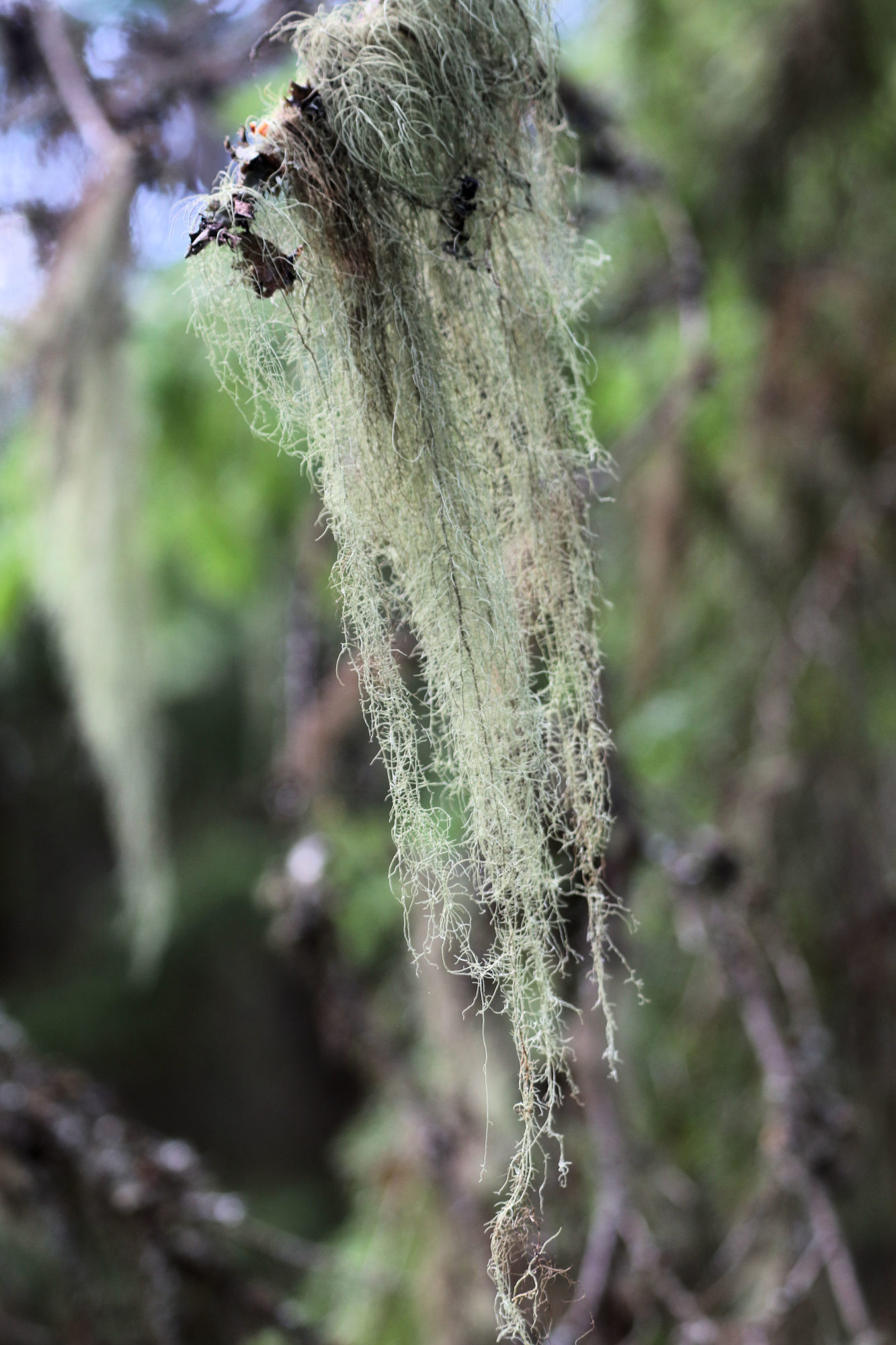 Valokuvaaja: Ahti Keränen