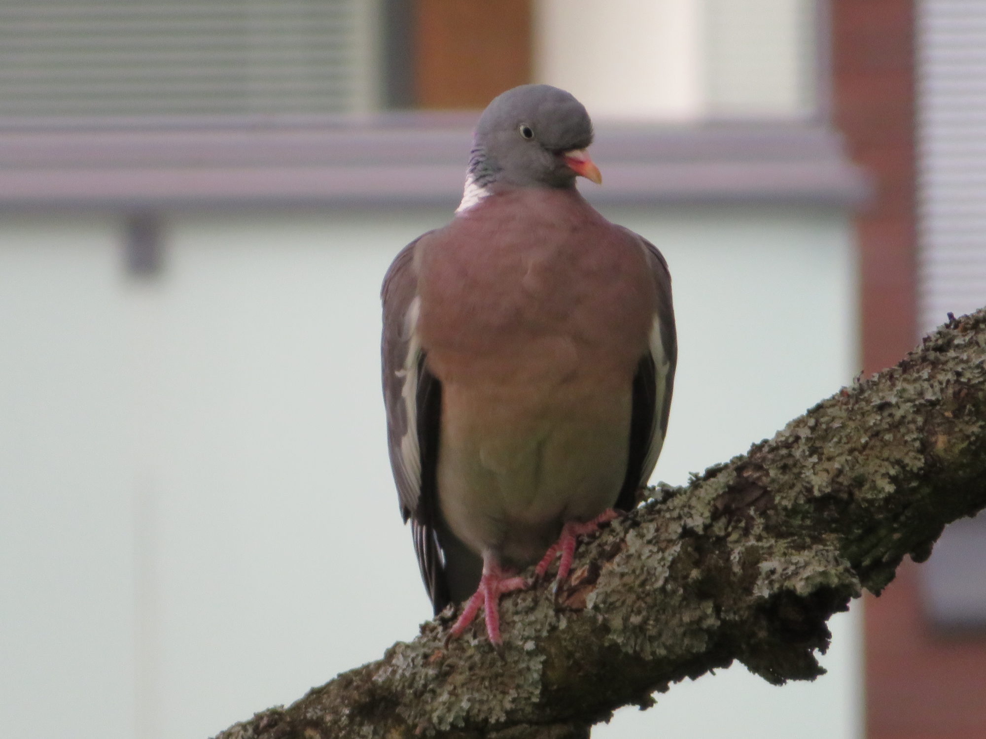 Valokuvaaja: Risto Kangassalo