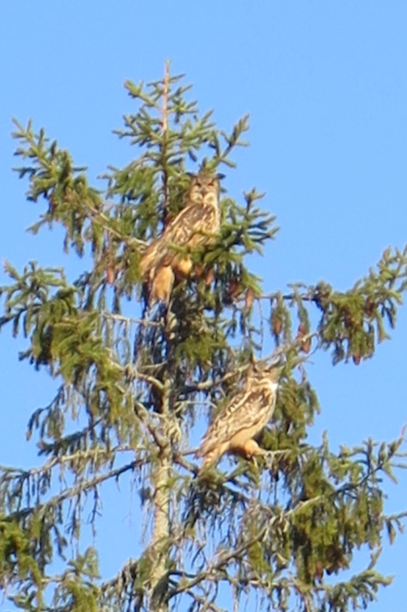 Valokuvaaja: Jorma Aaltonen