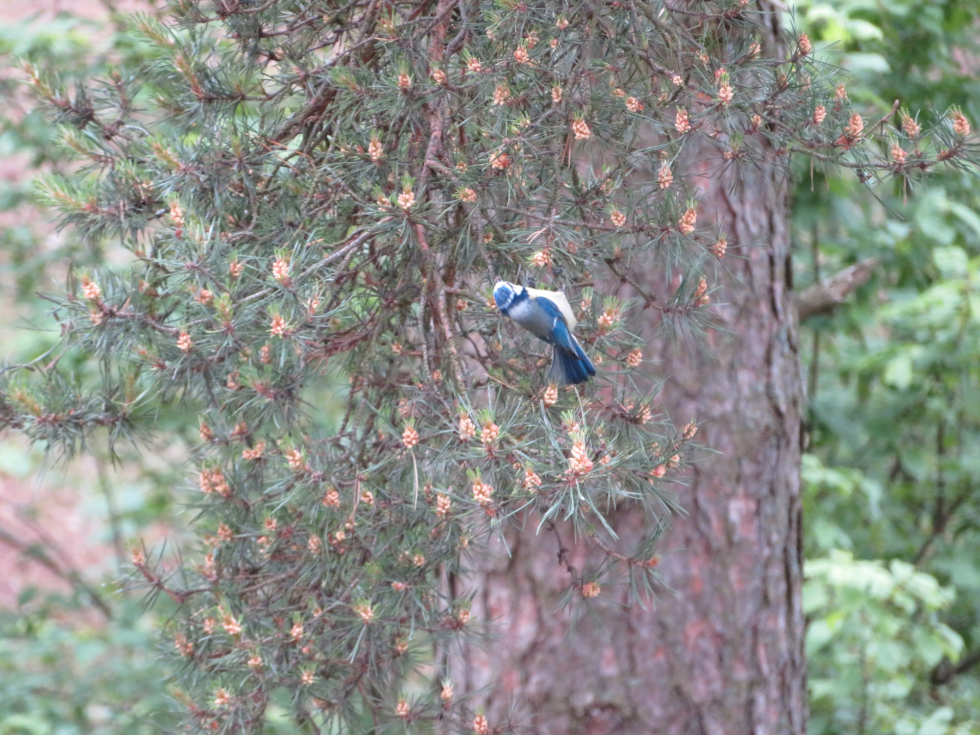 Valokuvaaja: Risto Kangassalo