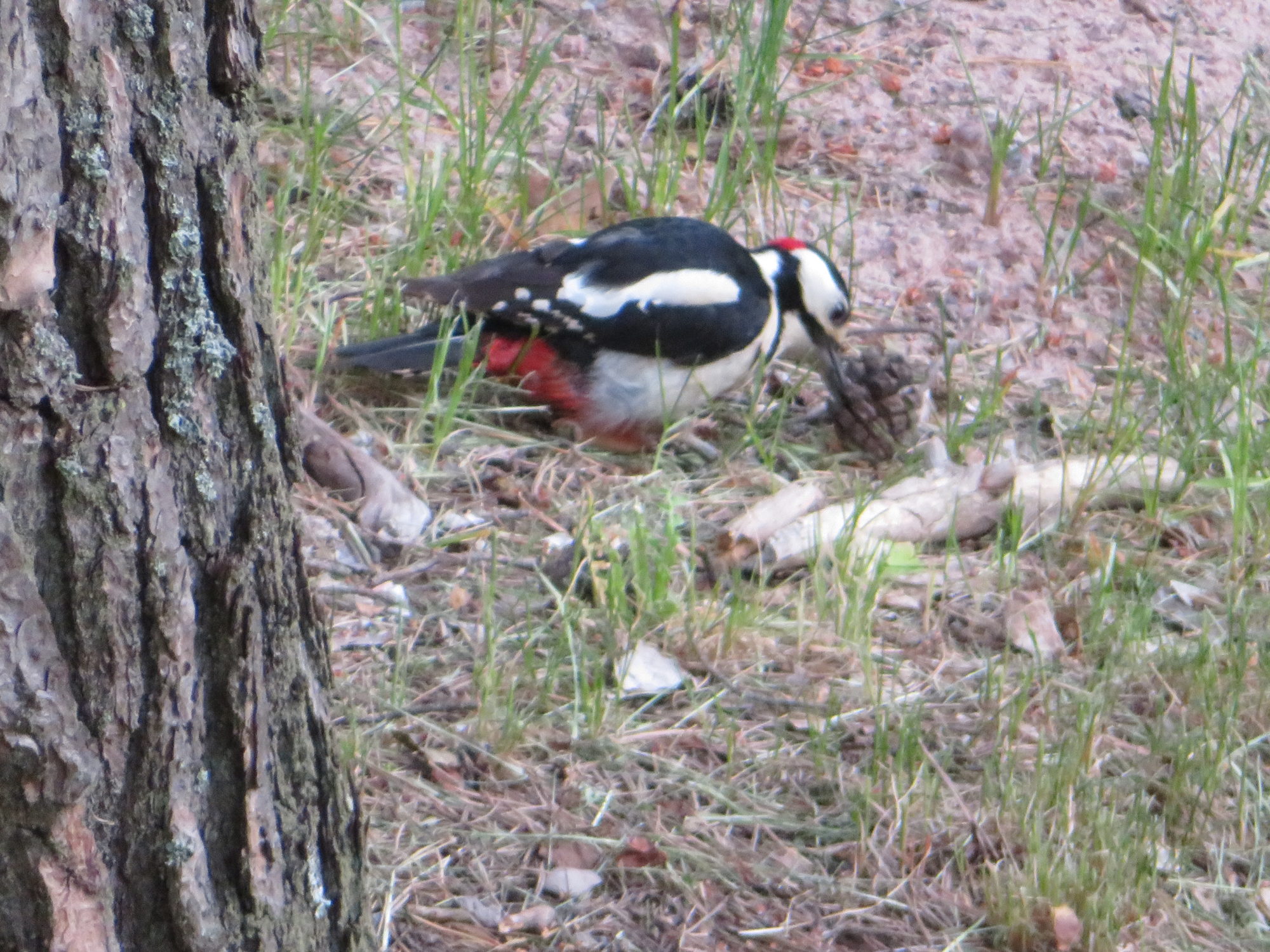 Valokuvaaja: Risto Kangassalo
