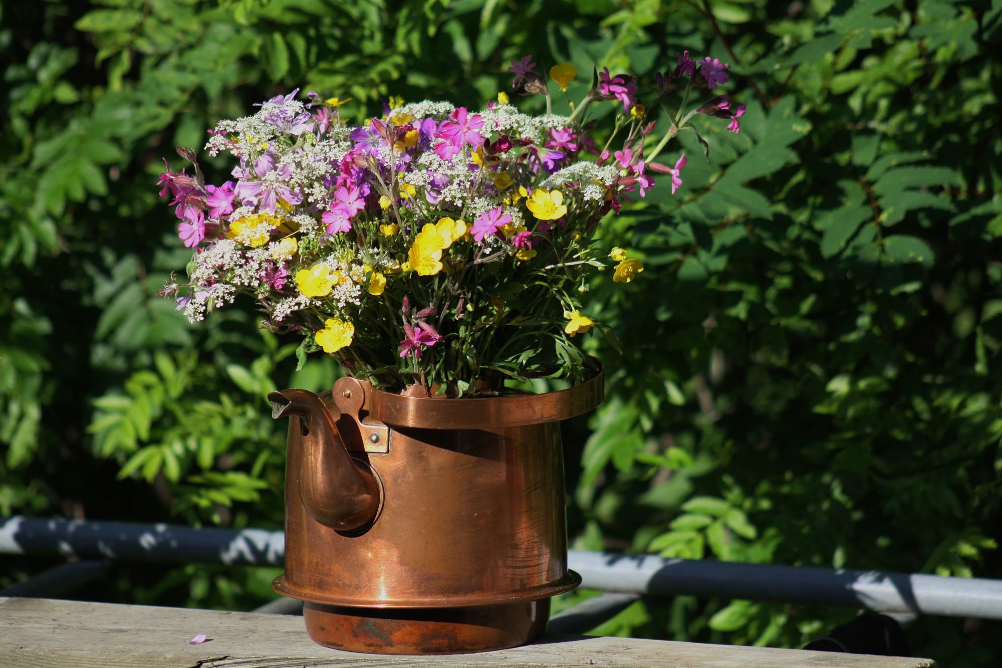 Valokuvaaja: Pirkko Siukonen