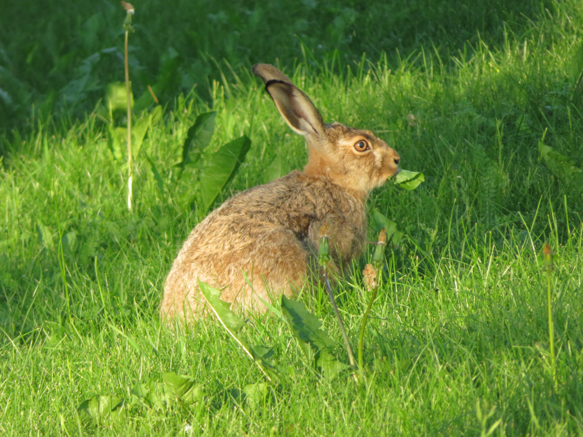 Valokuvaaja: Risto Kangassalo