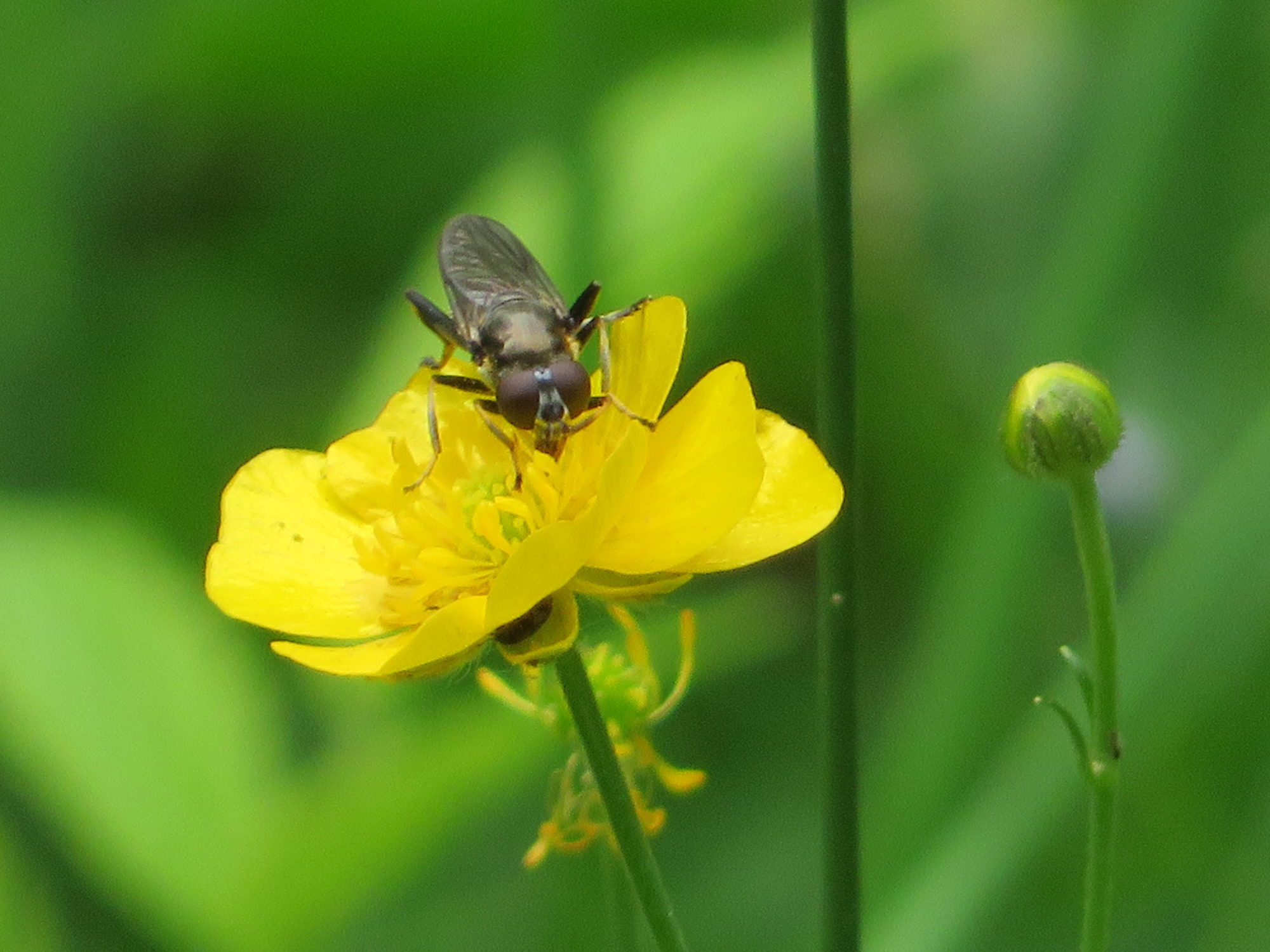 Valokuvaaja: Risto Kangassalo