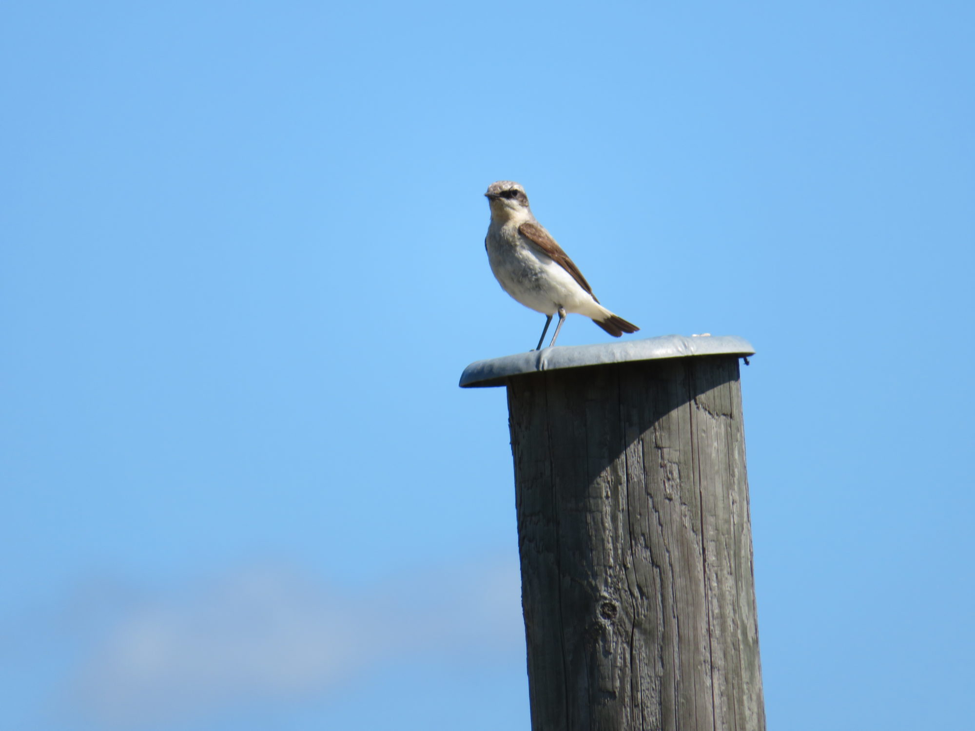 Valokuvaaja: Risto Kangassalo