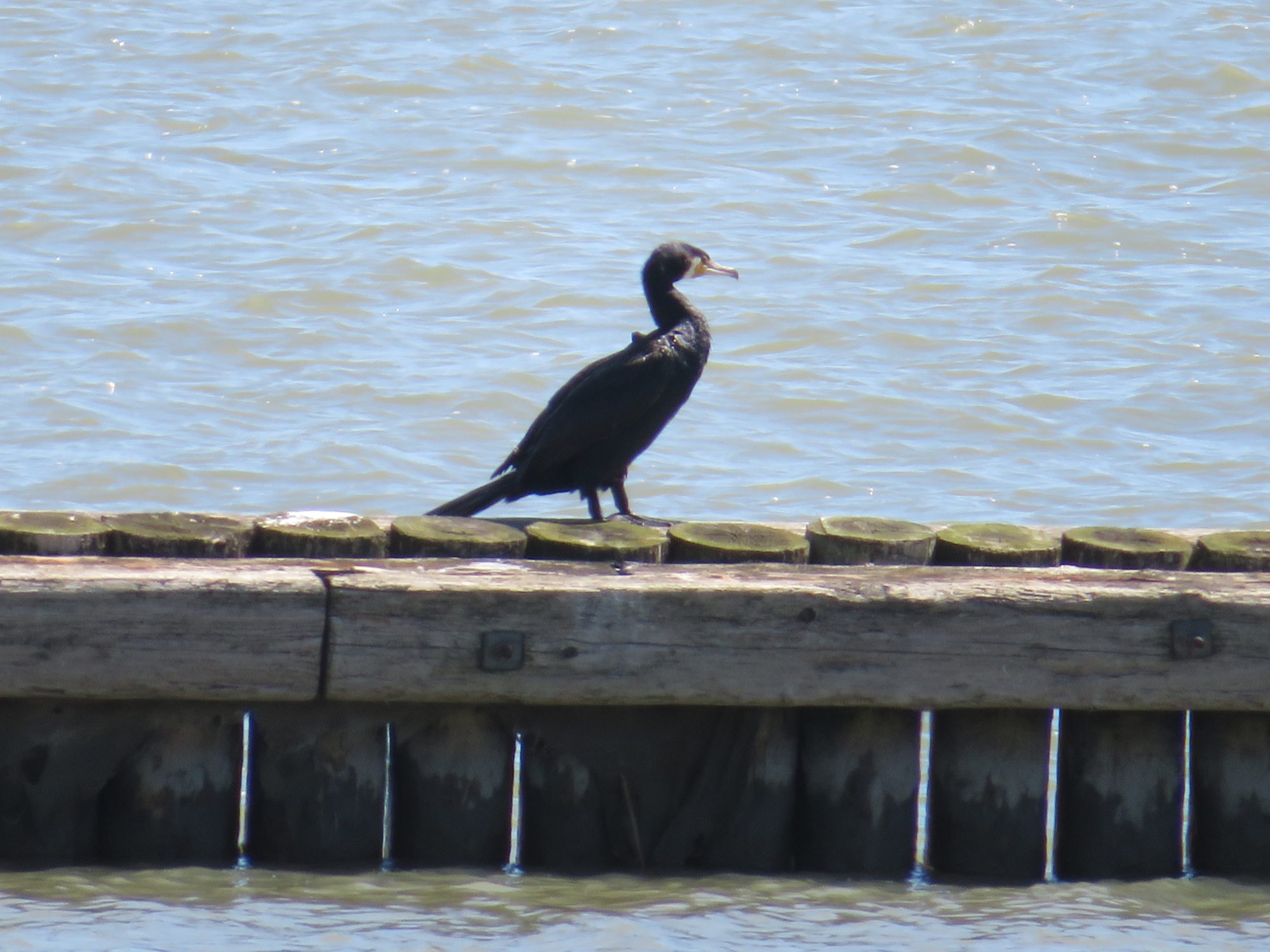 Valokuvaaja: Risto Kangassalo