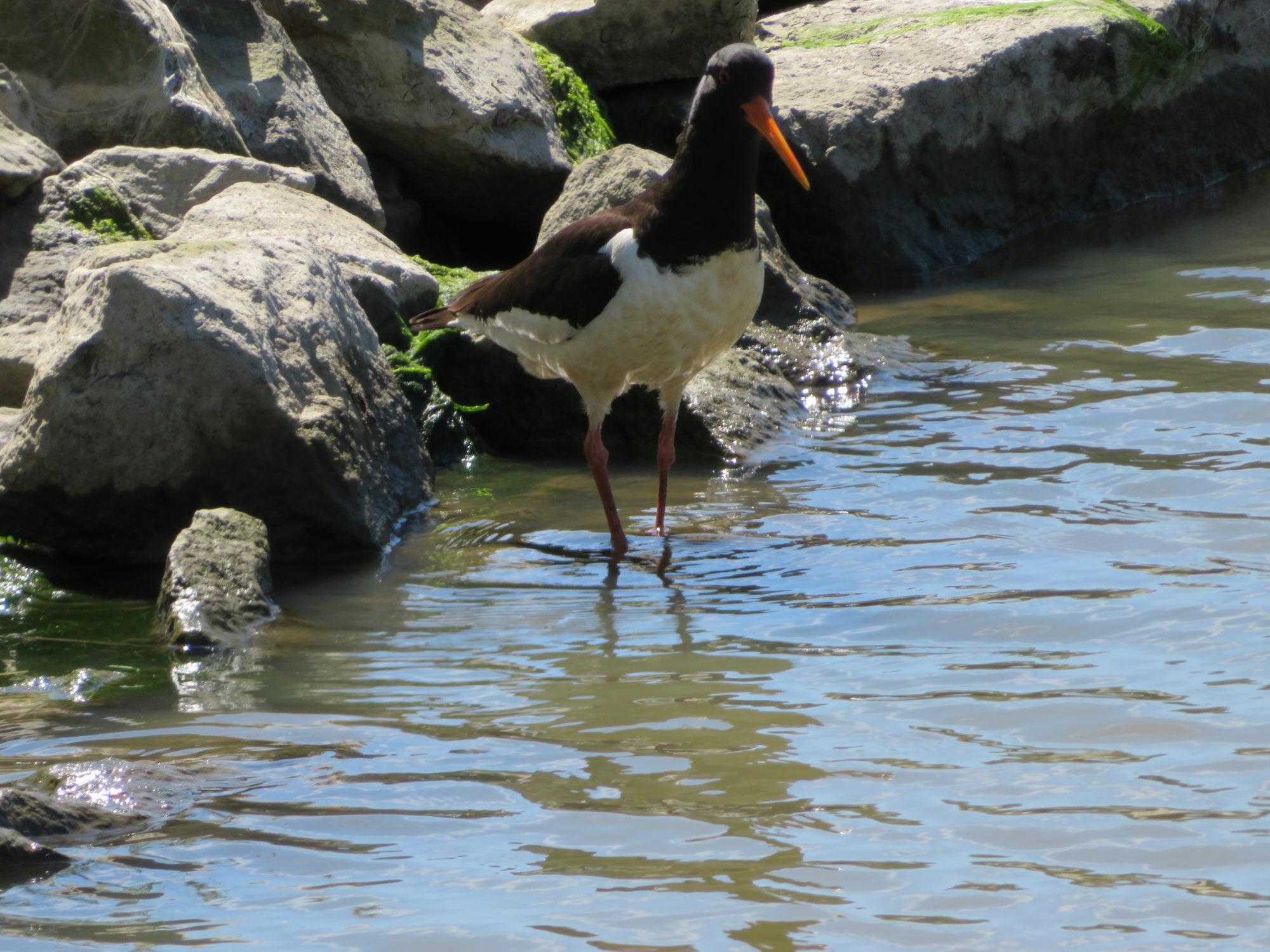 Valokuvaaja: Risto Kangassalo