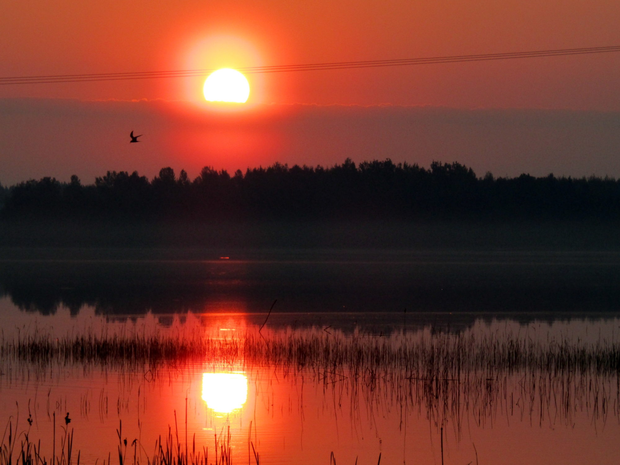 1 2 3 Aurinko Wikipedia