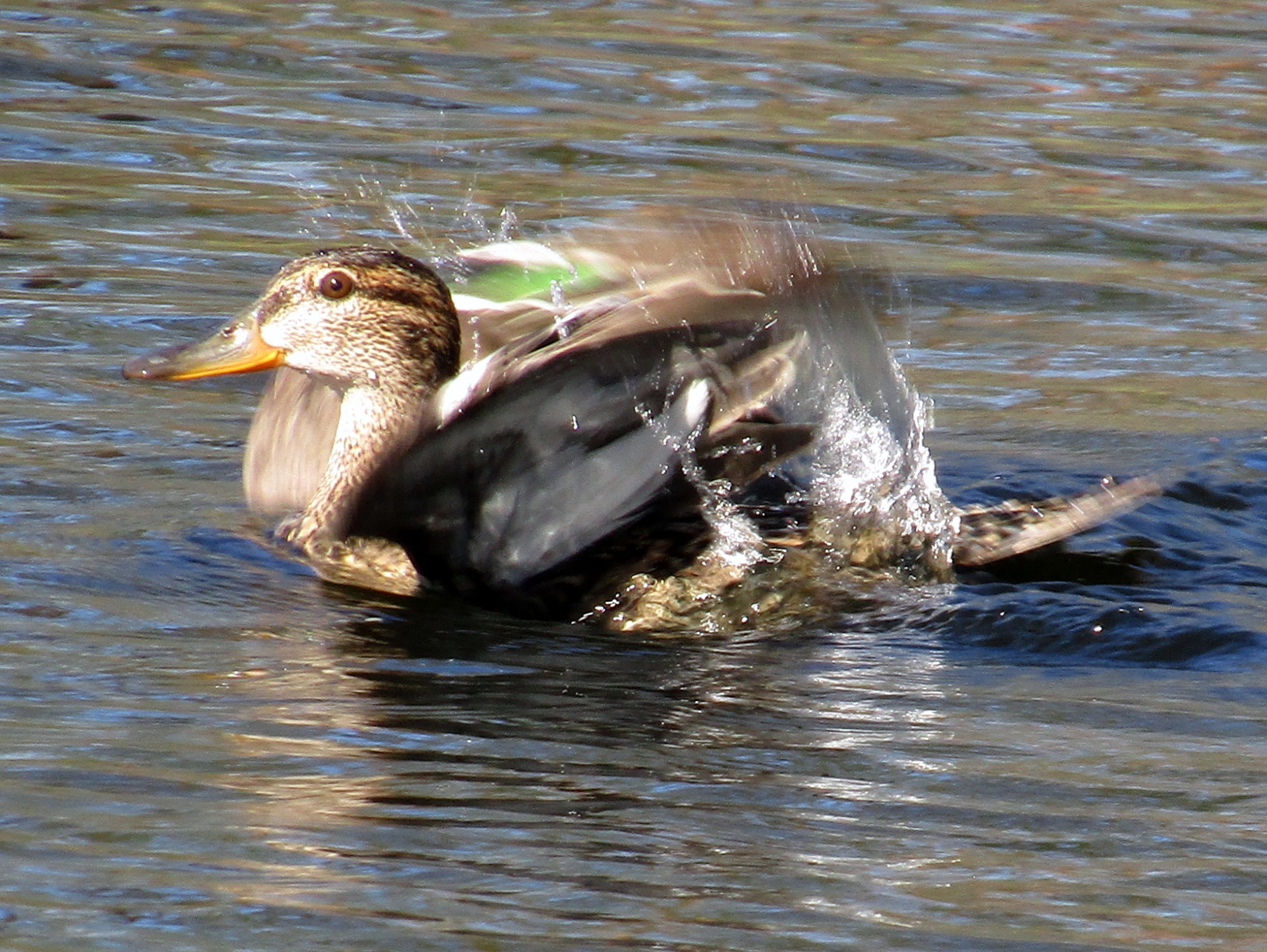 Valokuvaaja: Sirkka Ruotoistenmäki