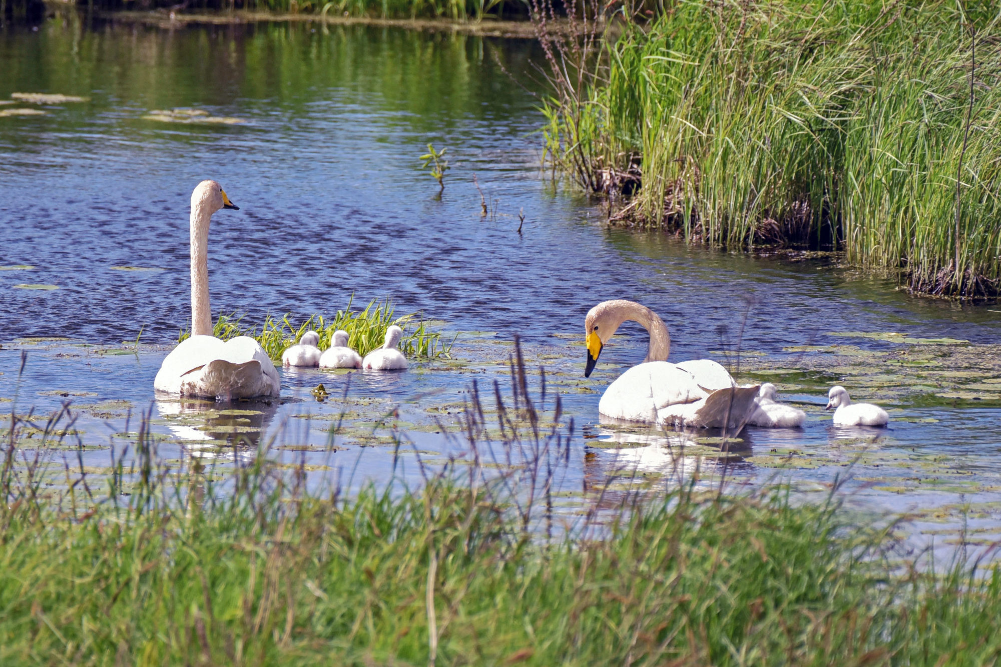 Valokuvaaja: Esko Pihl Valokuvaaja: Esko Pihl