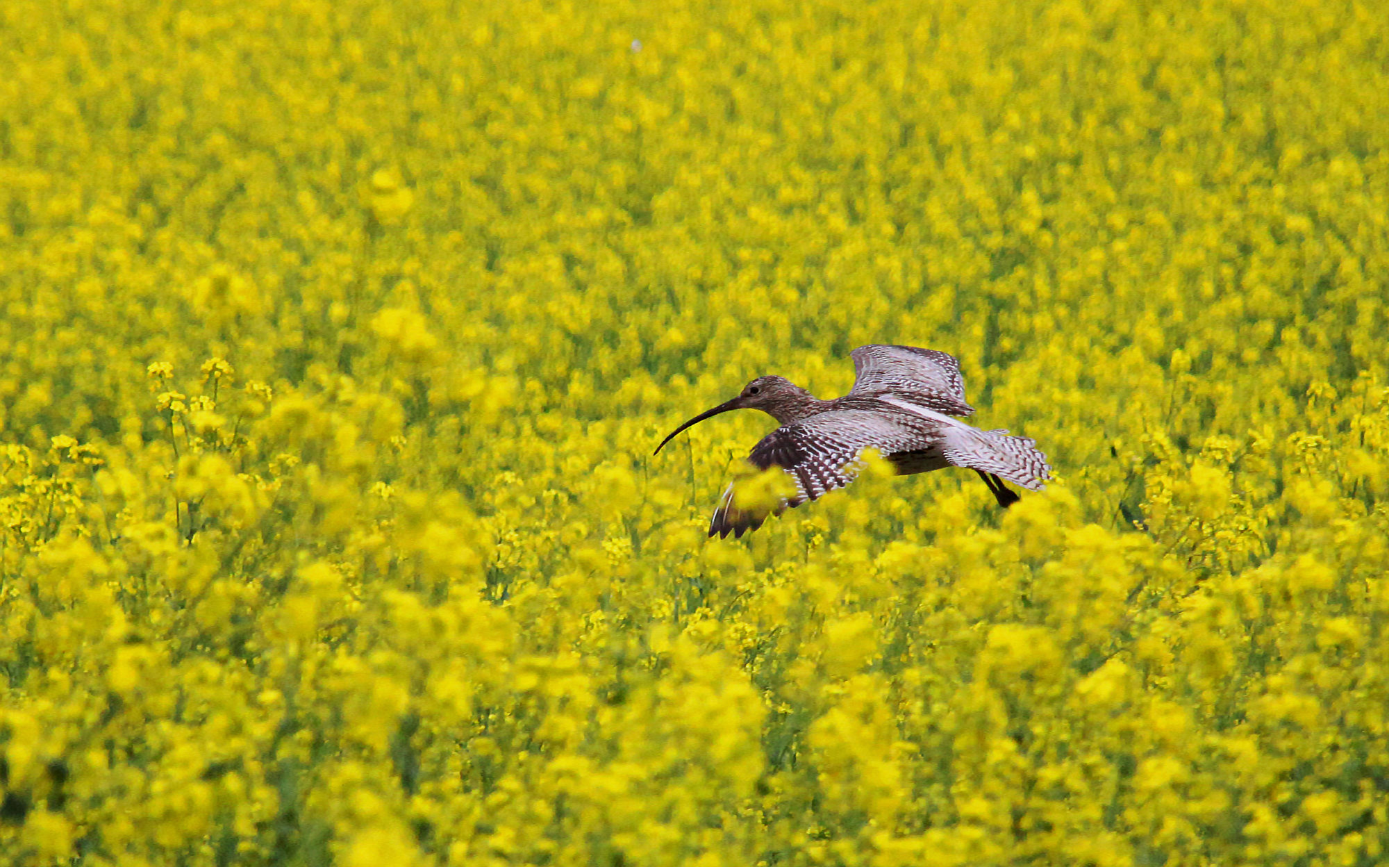 Valokuvaaja: Teija Heinonen