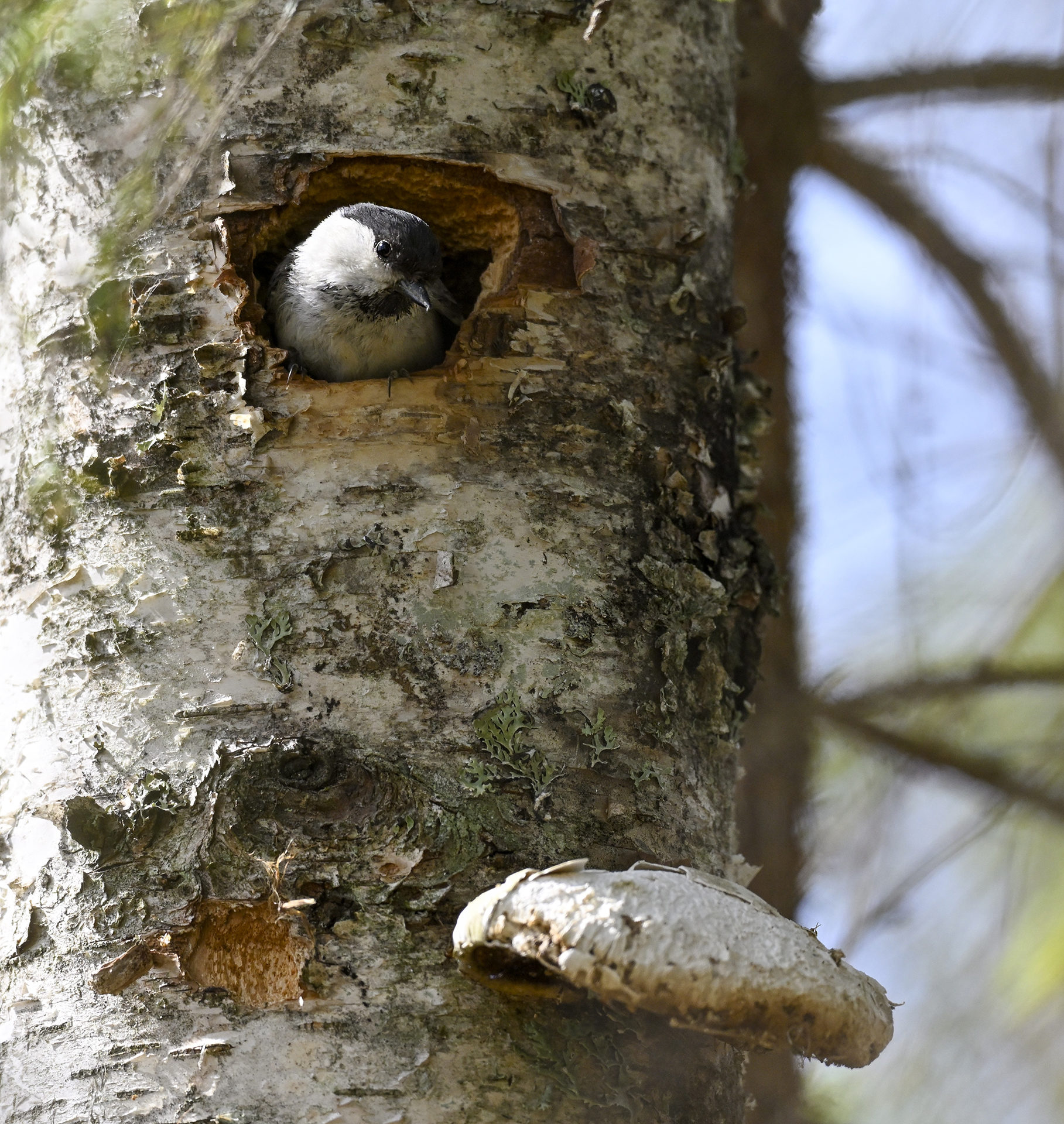 Valokuvaaja: Markku Paananen