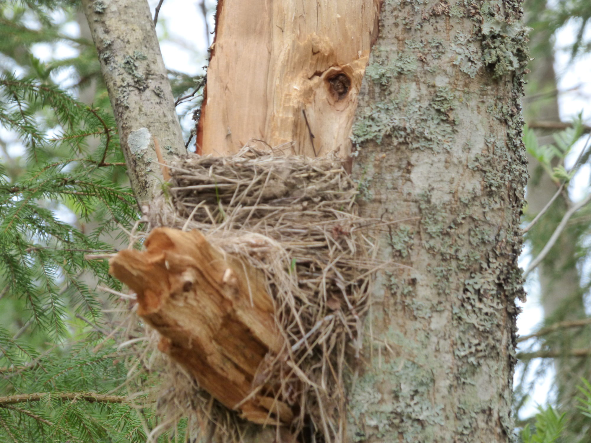 Valokuvaaja: Hannu Rissanen