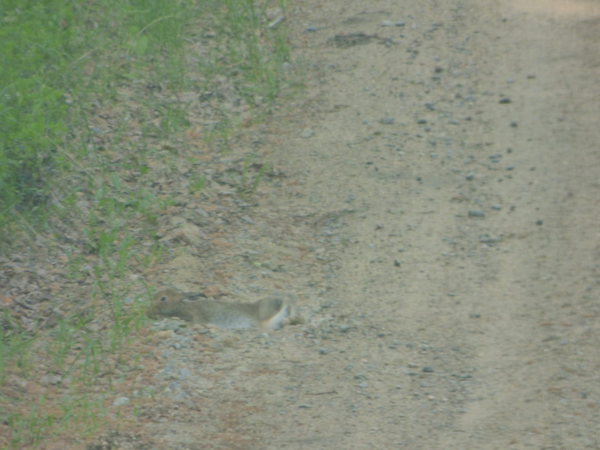 Valokuvaaja: Hannu Rissanen