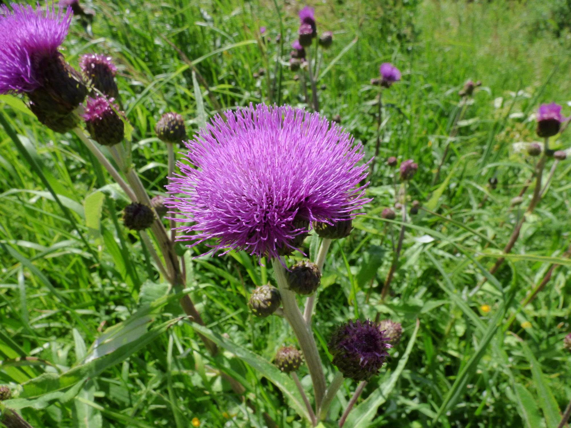 Valokuvaaja: Hannu Rissanen