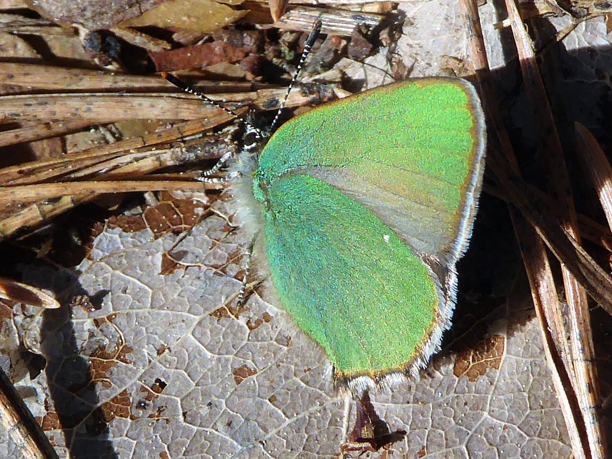 Valokuvaaja: Arja Valtonen