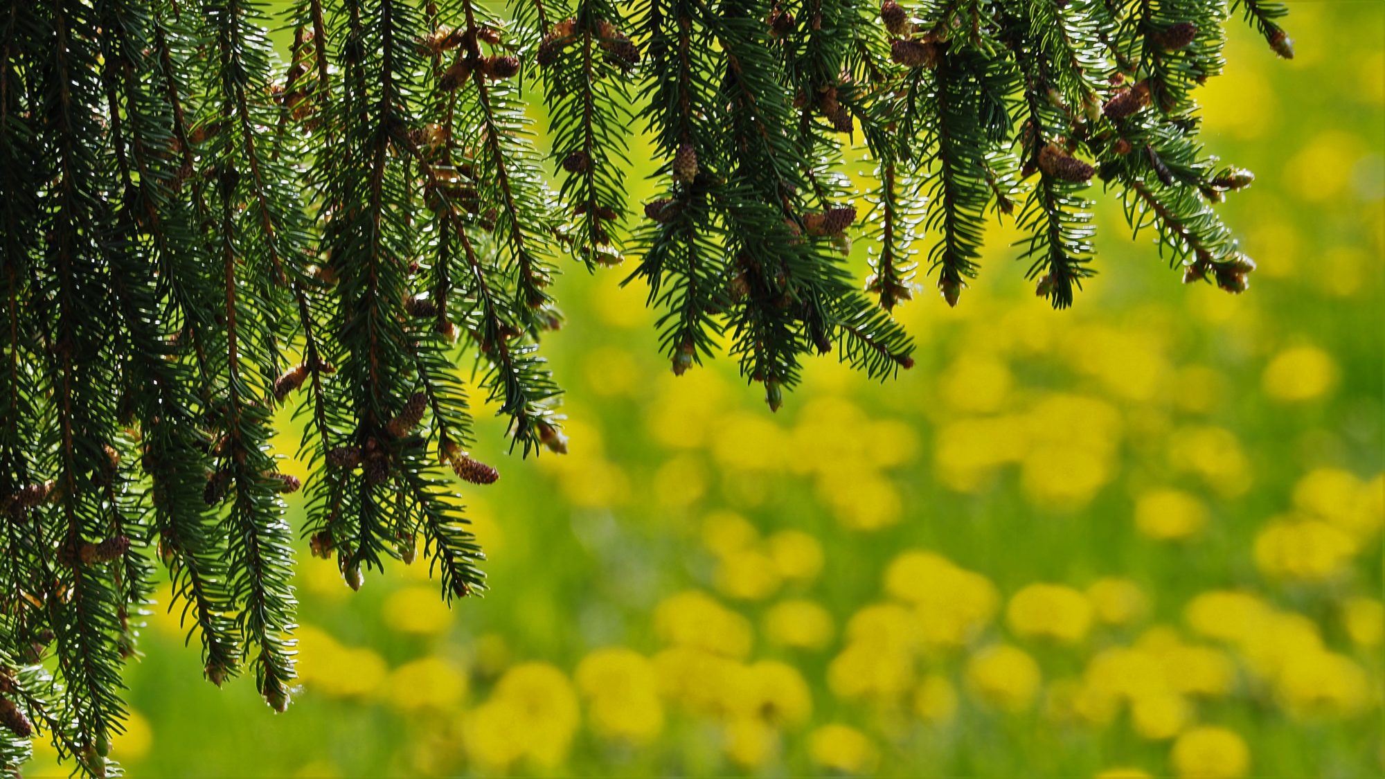 Valokuvaaja: Arja Valtonen