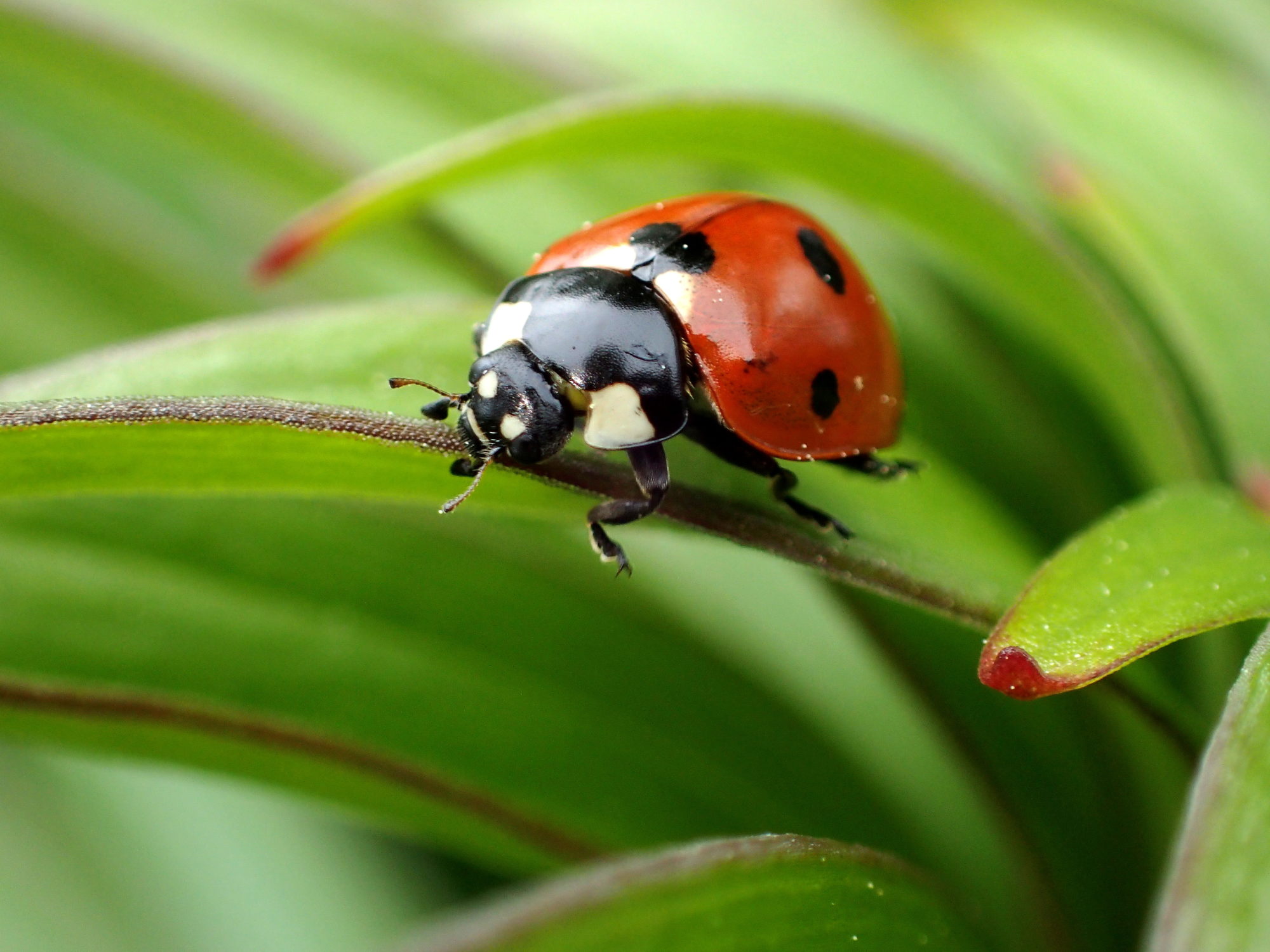 Valokuvaaja: Heidi Rikala