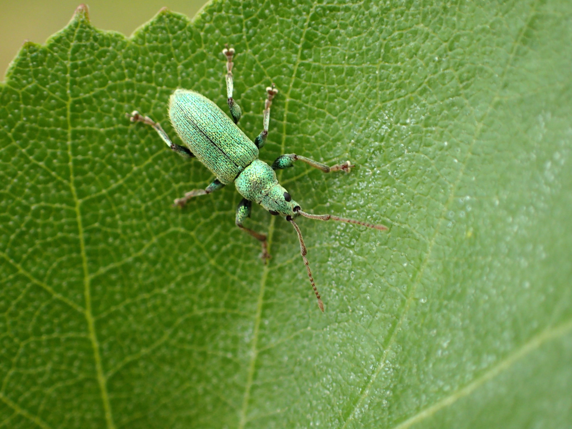 Valokuvaaja: Heidi Rikala