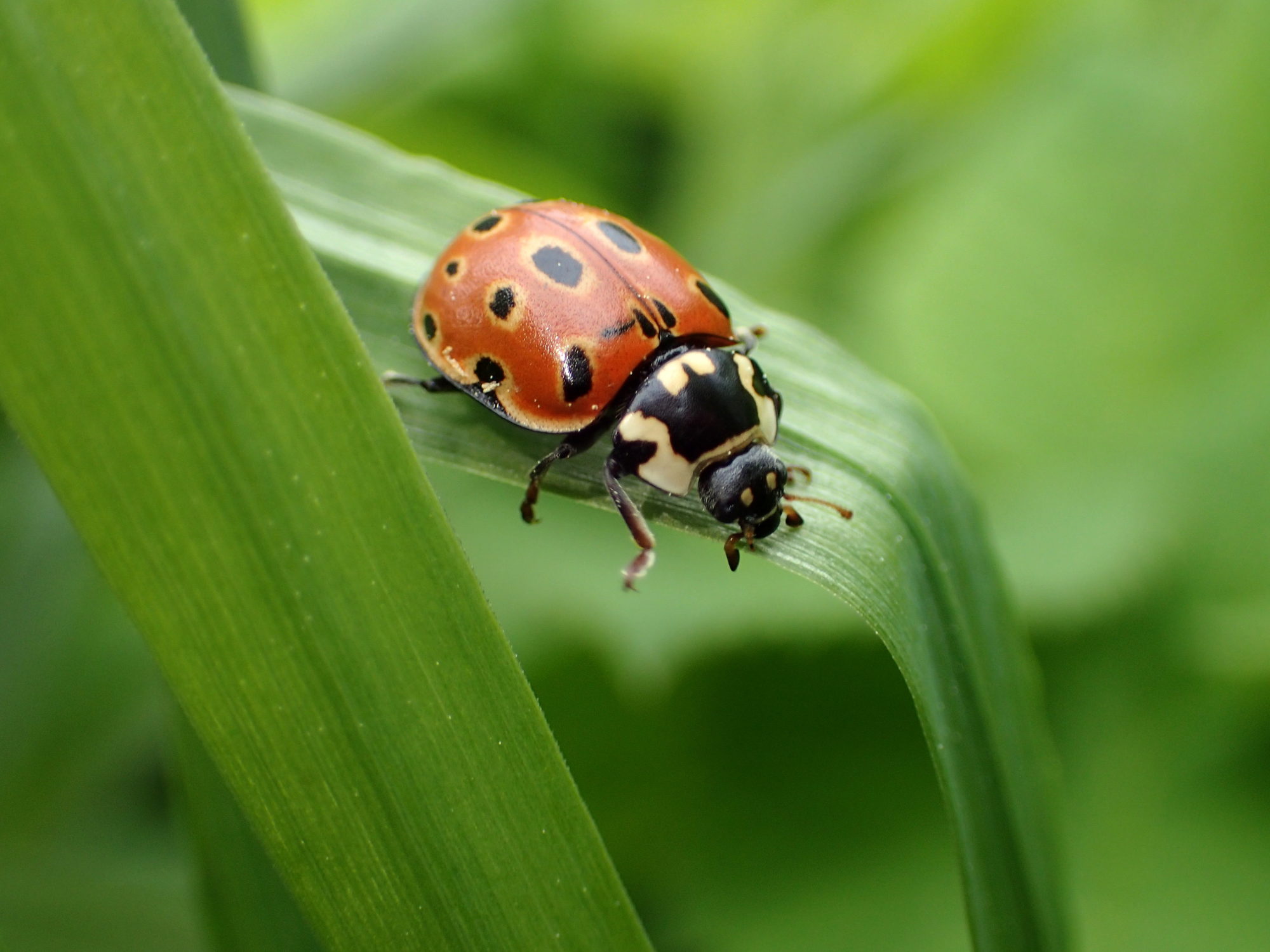 Valokuvaaja: Heidi Rikala