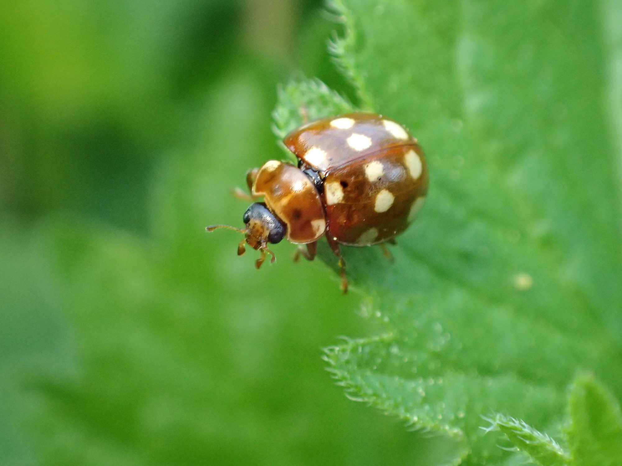 Valokuvaaja: Heidi Rikala