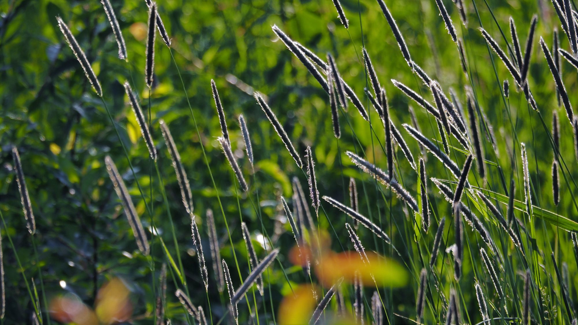 Valokuvaaja: Arja Valtonen