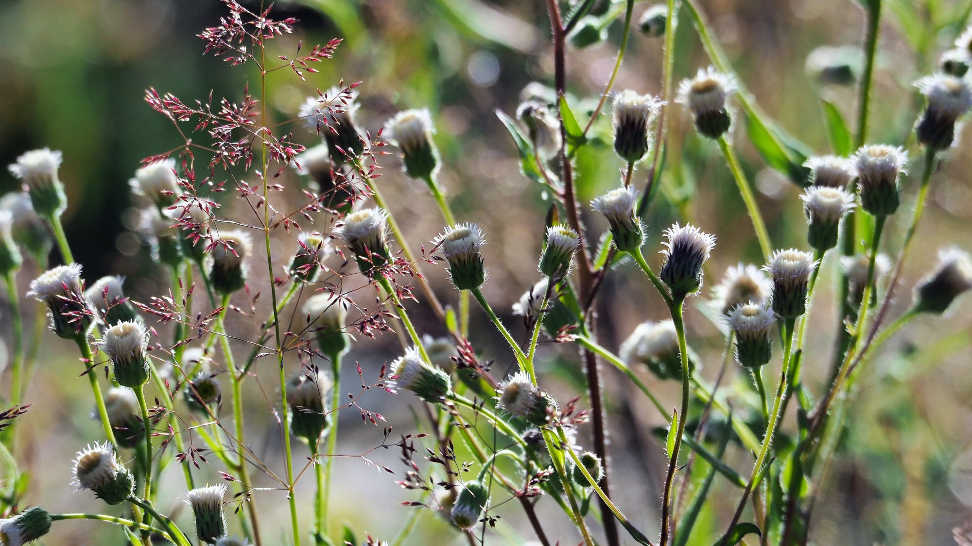 Valokuvaaja: Arja Valtonen