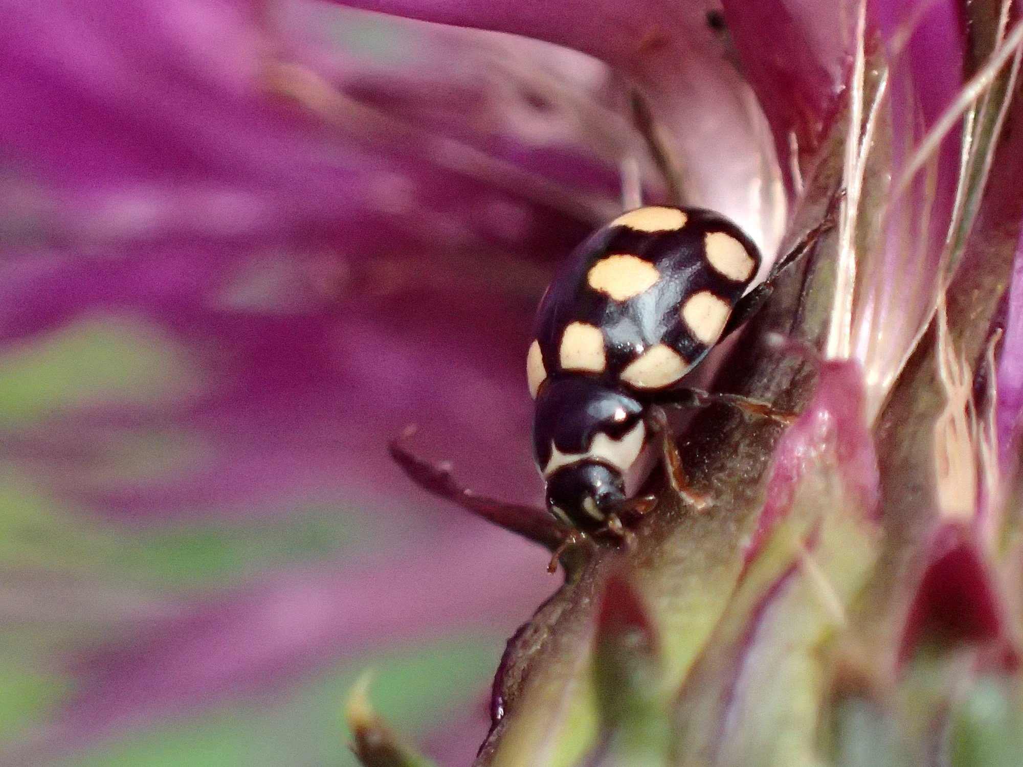 Valokuvaaja: Heidi Rikala