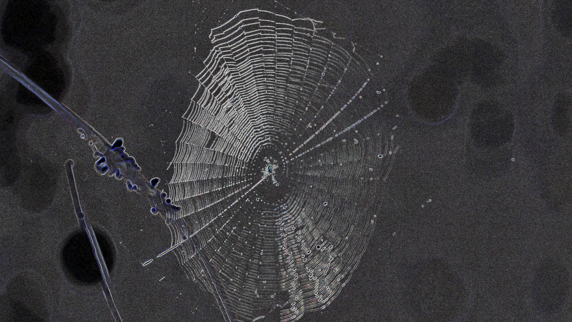 Valokuvaaja: Arja Valtonen