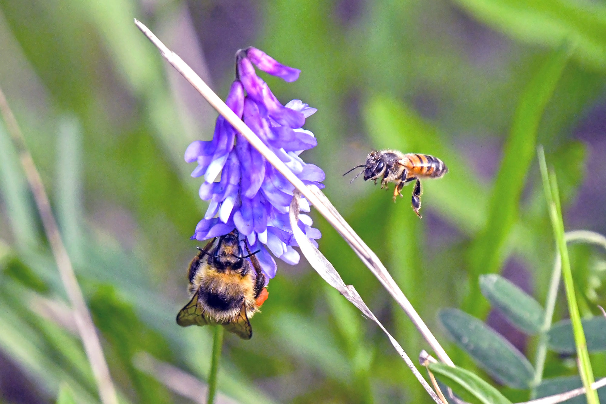 Valokuvaaja: Esko Pihl