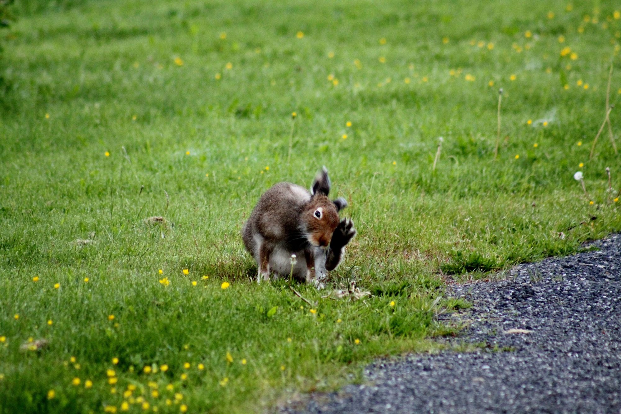 Valokuvaaja: Pirkko Siukonen
