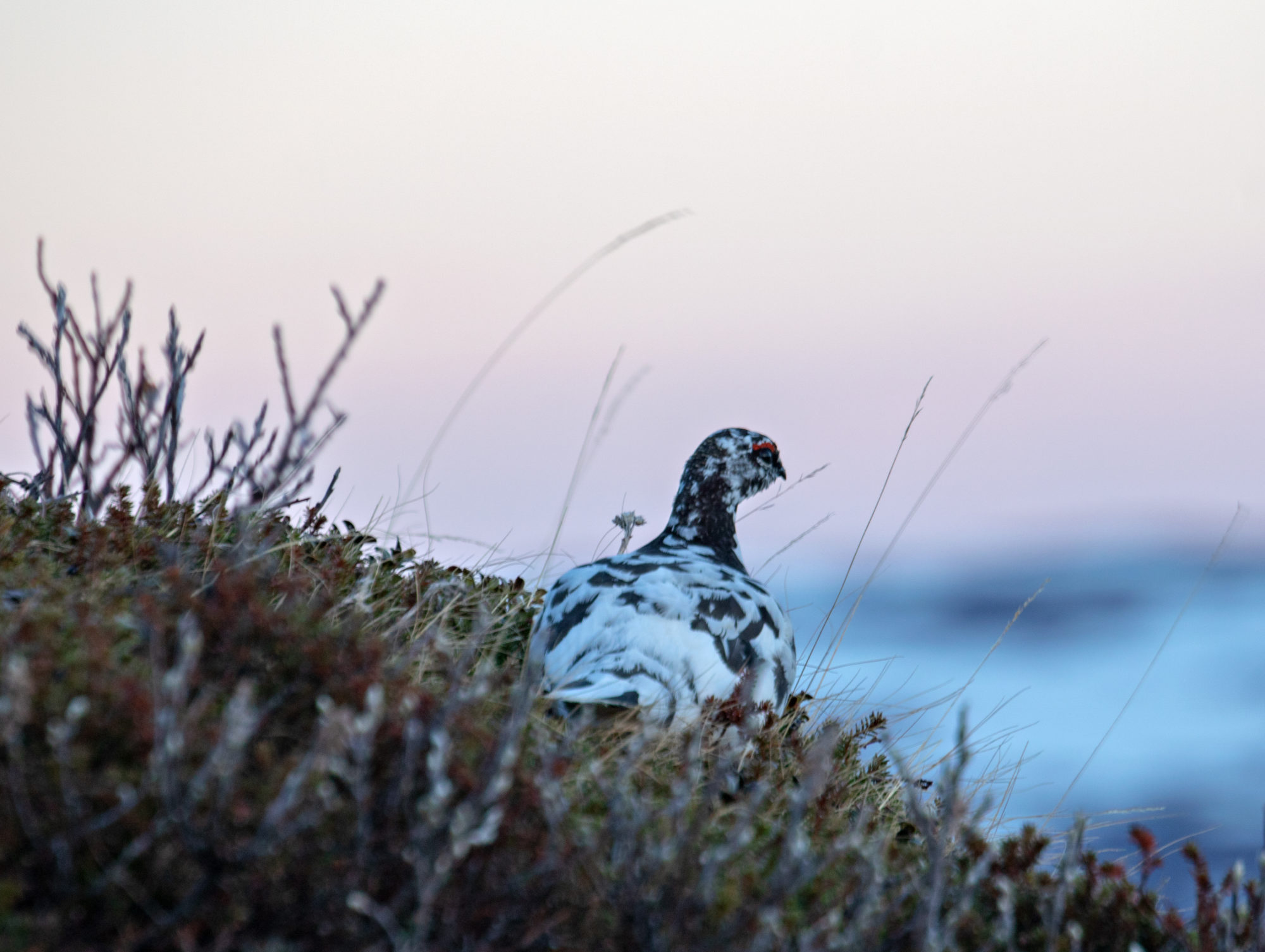 Valokuvaaja: Katri Niskanen