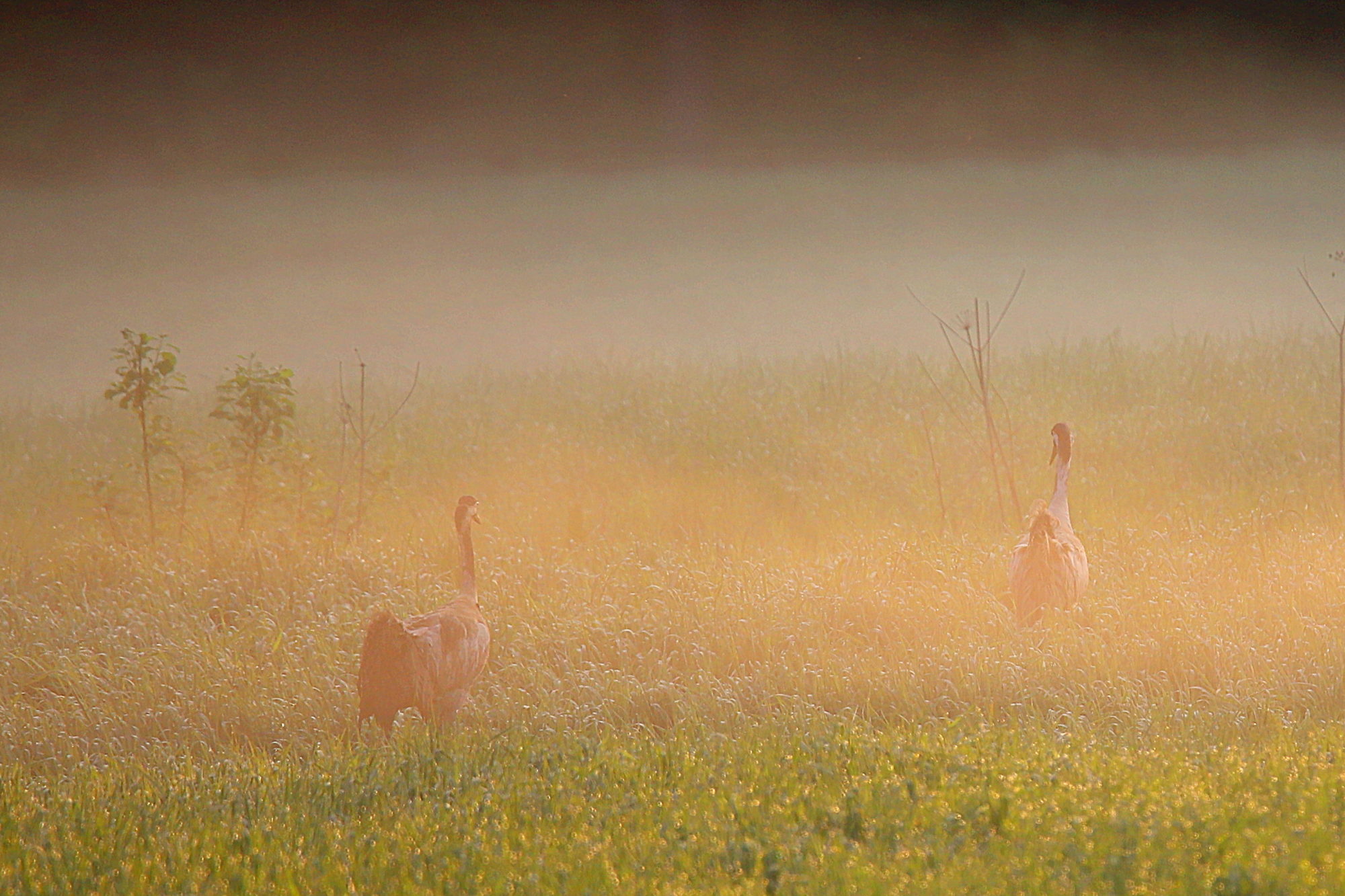 Valokuvaaja: sirpa jyske Valokuvaaja: sirpa jyske
