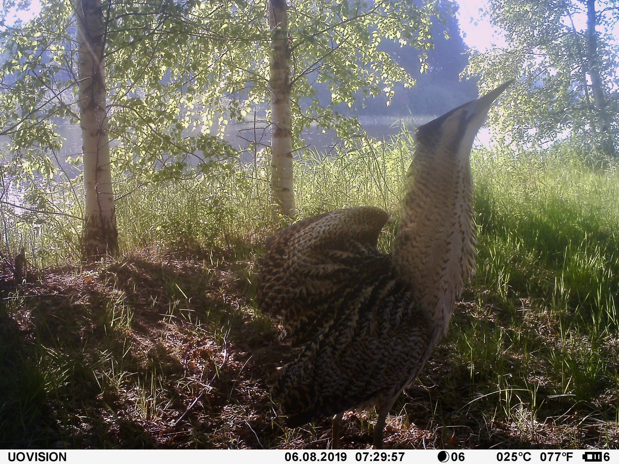 Valokuvaaja: Antti Linkola
