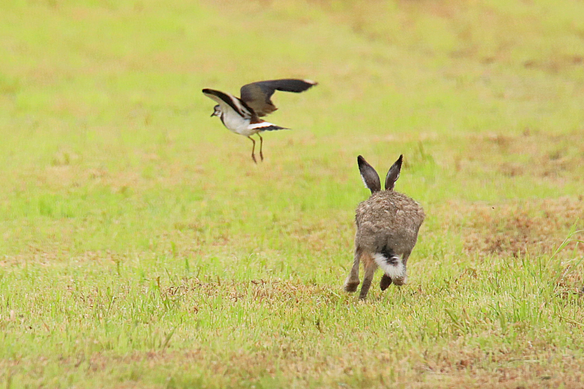 Valokuvaaja: sirpa jyske