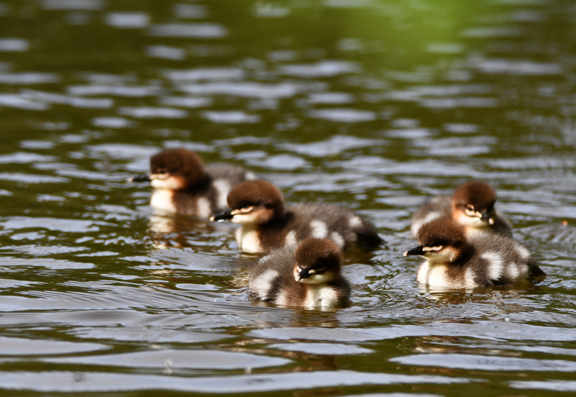 Valokuvaaja: Senja Rämä