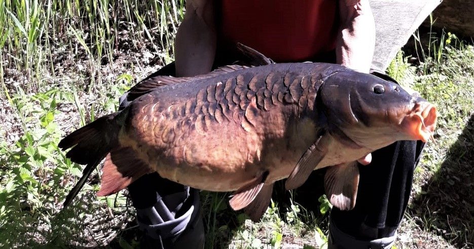 Valokuvaaja: Hannu Suominen Valokuvaaja: Hannu Suominen