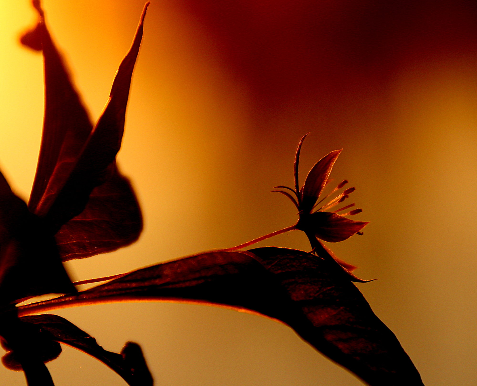 Valokuvaaja: sirpa jyske