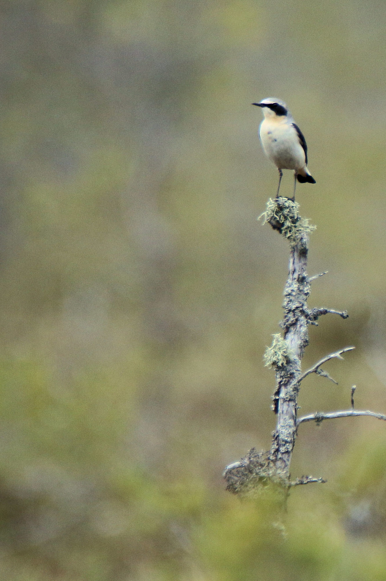 Valokuvaaja: Ahti Keränen