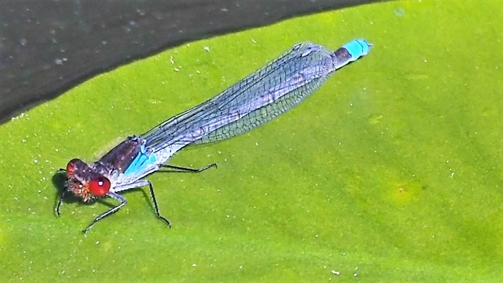 Valokuvaaja: Arja Valtonen