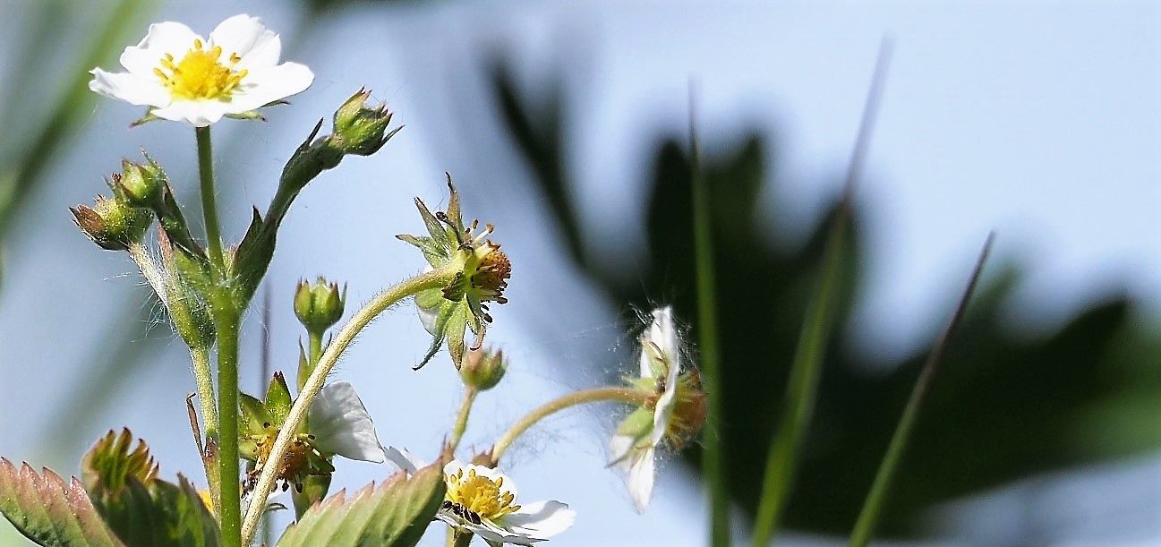 Valokuvaaja: Arja Valtonen