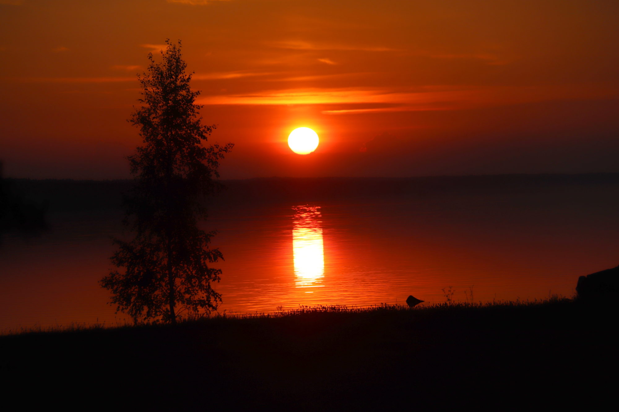 Valokuvaaja: sirpa jyske