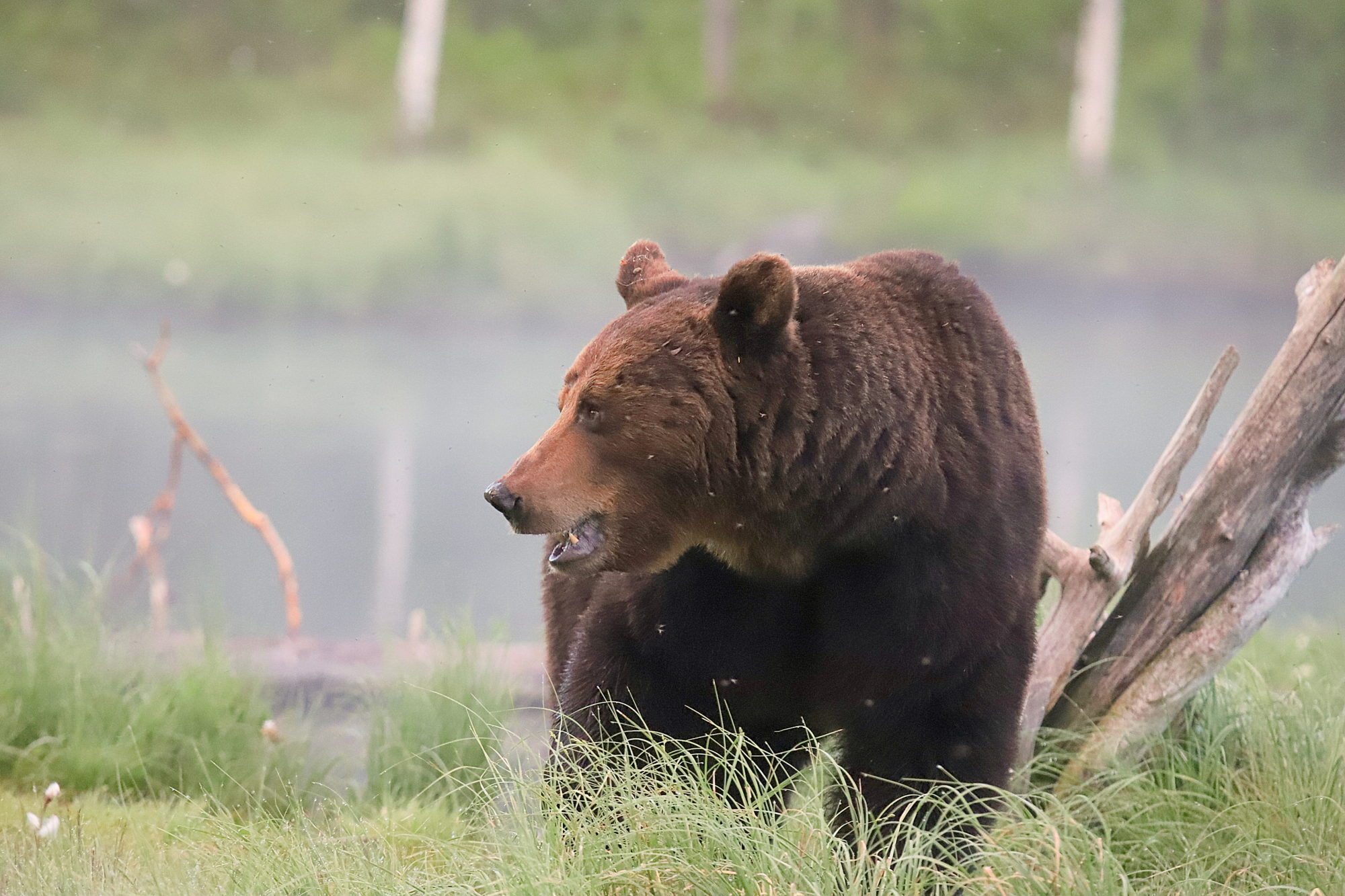 Valokuvaaja: sirpa jyske