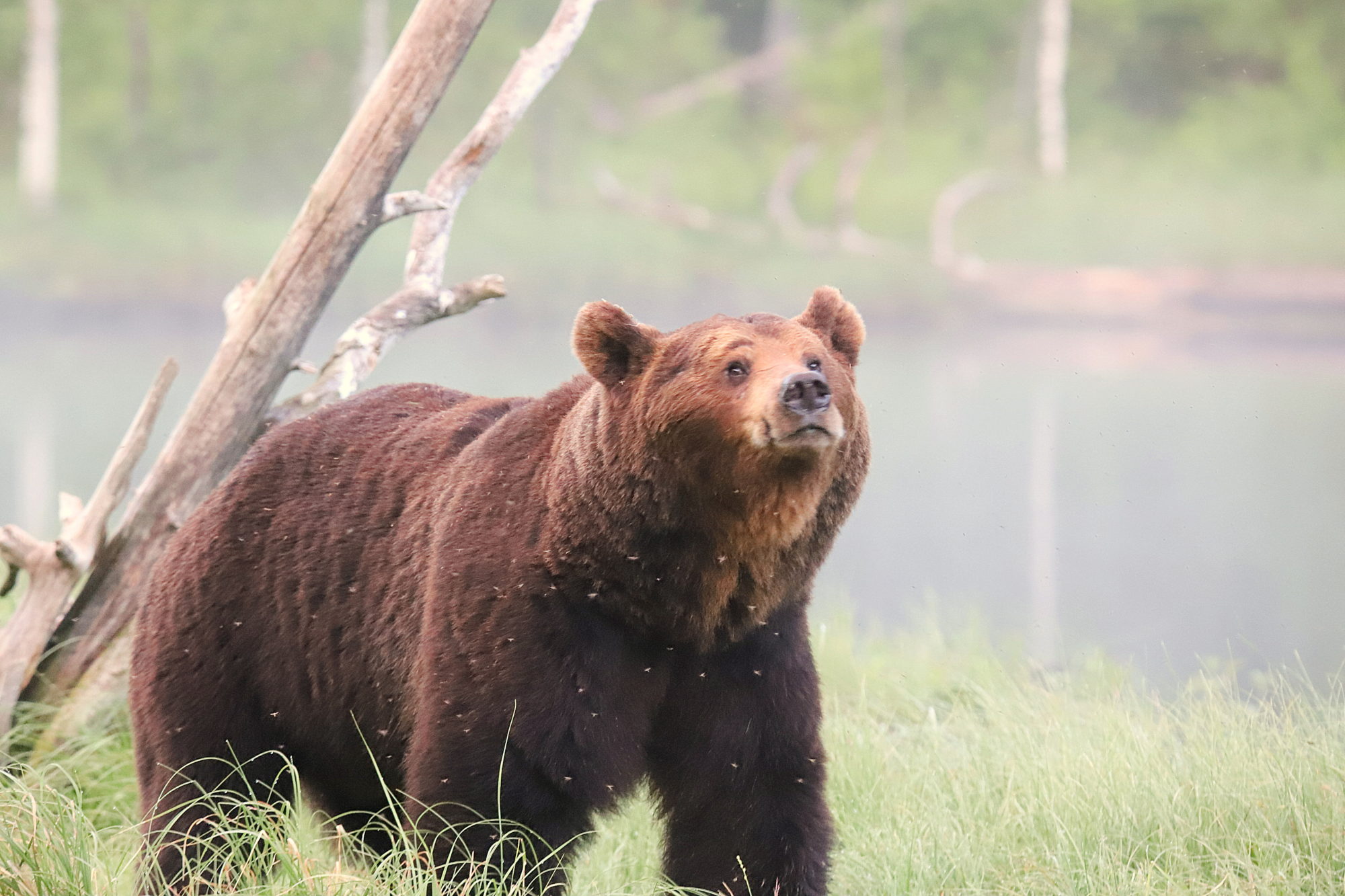 Valokuvaaja: sirpa jyske